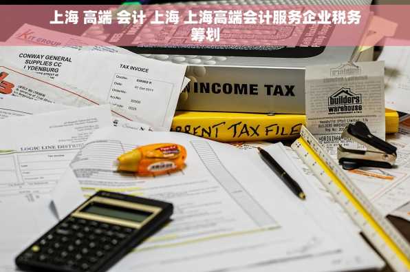 上海 高端 会计 上海 上海高端会计服务企业税务筹划