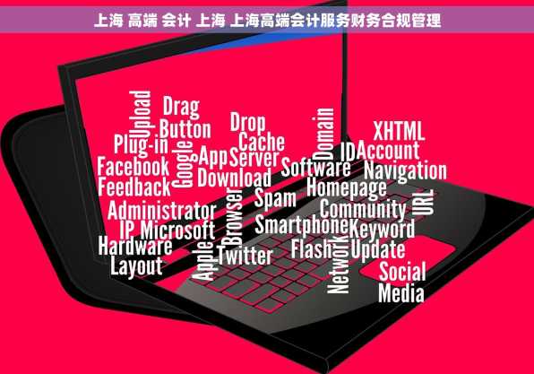 上海 高端 会计 上海 上海高端会计服务财务合规管理