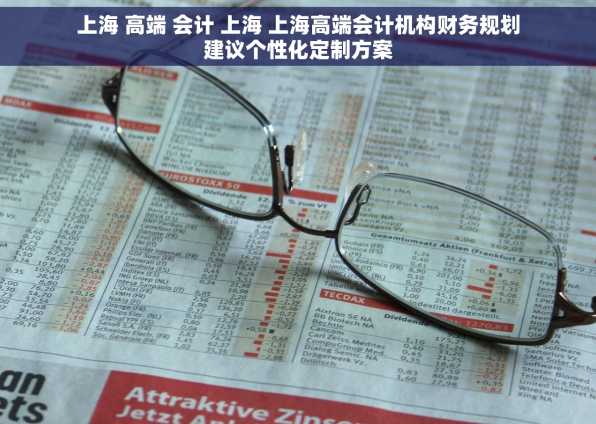 上海 高端 会计 上海 上海高端会计机构财务规划建议个性化定制方案