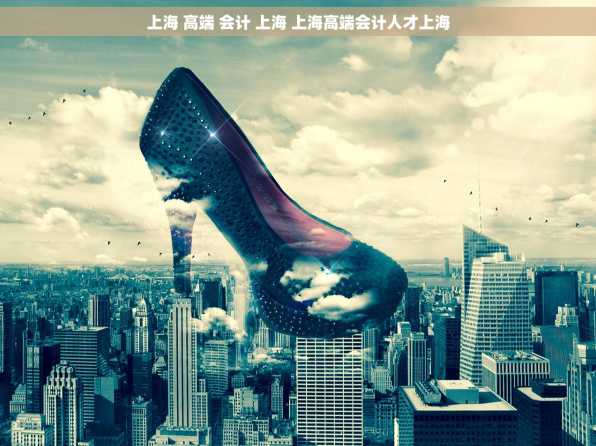 上海 高端 会计 上海 上海高端会计人才上海