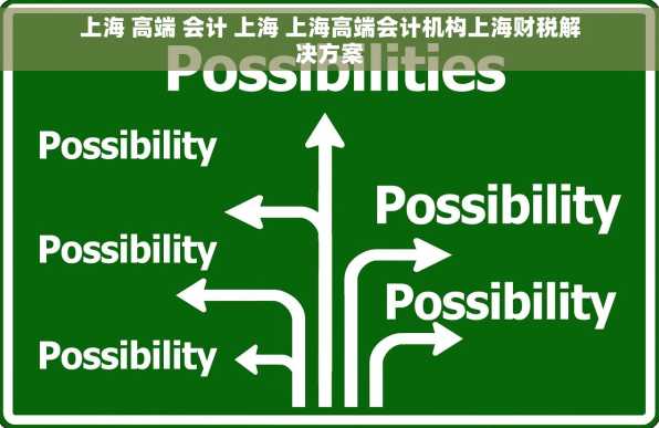 上海 高端 会计 上海 上海高端会计机构上海财税解决方案