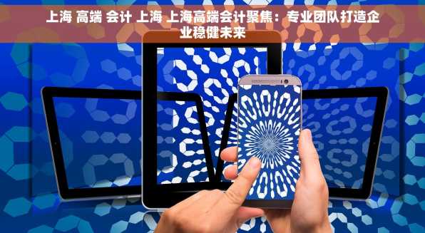 上海 高端 会计 上海 上海高端会计聚焦：专业团队打造企业稳健未来