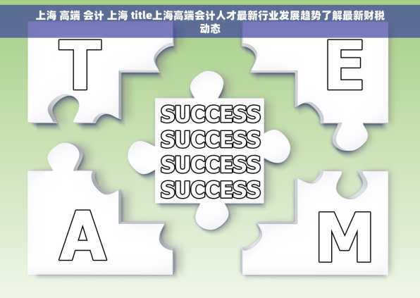 上海 高端 会计 上海 title上海高端会计人才最新行业发展趋势了解最新财税动态