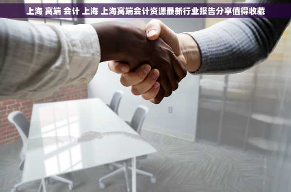 上海 高端 会计 上海 上海高端会计资源最新行业报告分享值得收藏
