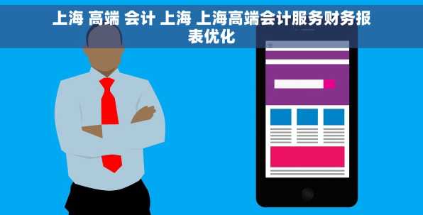 上海 高端 会计 上海 上海高端会计服务财务报表优化