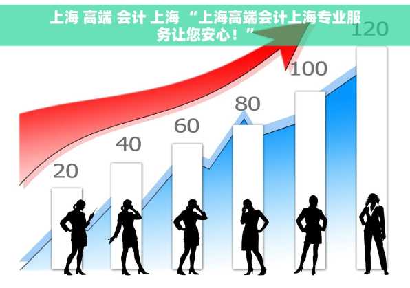 上海 高端 会计 上海 “上海高端会计上海专业服务让您安心！”