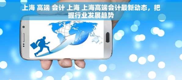 上海 高端 会计 上海 上海高端会计最新动态，把握行业发展趋势