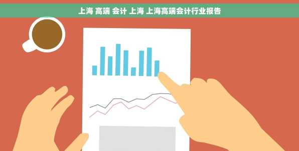 上海 高端 会计 上海 上海高端会计行业报告