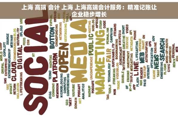 上海 高端 会计 上海 上海高端会计服务：精准记账让企业稳步增长