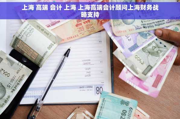 上海 高端 会计 上海 上海高端会计顾问上海财务战略支持