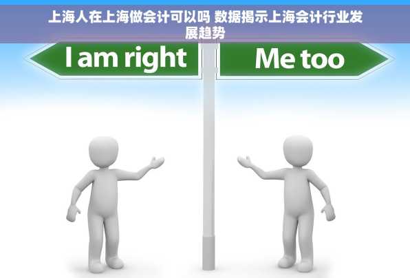 上海人在上海做会计可以吗 数据揭示上海会计行业发展趋势