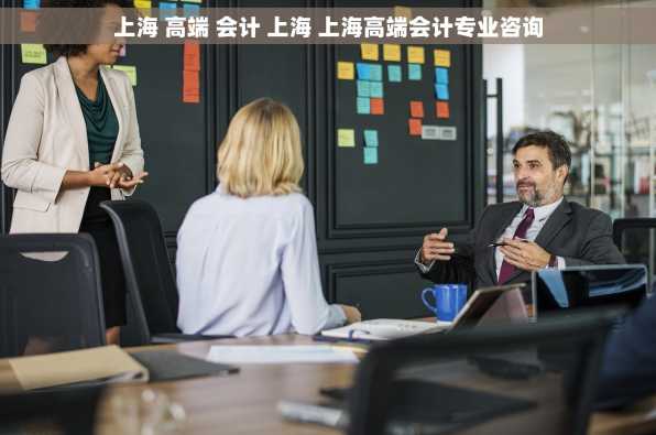 上海 高端 会计 上海 上海高端会计专业咨询