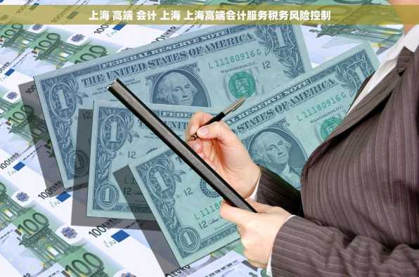 上海 高端 会计 上海 上海高端会计服务税务风险控制