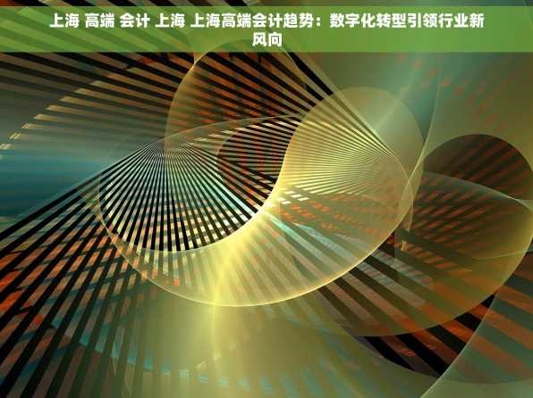 上海 高端 会计 上海 上海高端会计趋势：数字化转型引领行业新风向