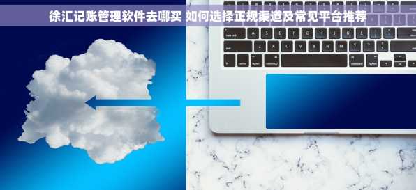 徐汇记账管理软件去哪买 如何选择正规渠道及常见平台推荐