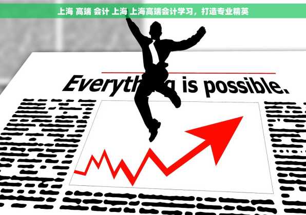 上海 高端 会计 上海 上海高端会计学习，打造专业精英