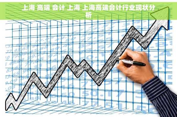 上海 高端 会计 上海 上海高端会计行业现状分析