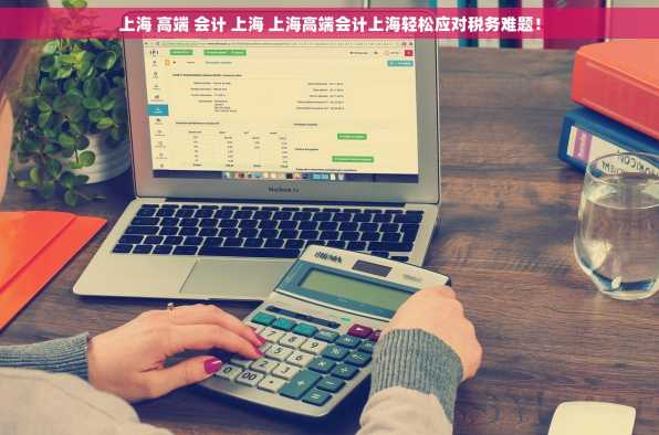 上海 高端 会计 上海 上海高端会计上海轻松应对税务难题！