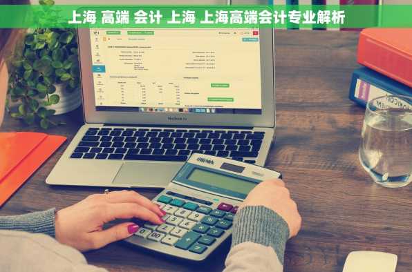上海 高端 会计 上海 上海高端会计专业解析