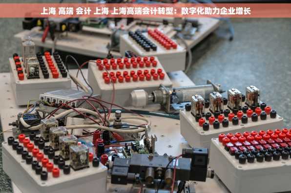 上海 高端 会计 上海 上海高端会计转型：数字化助力企业增长