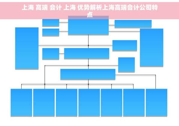 上海 高端 会计 上海 优势解析上海高端会计公司特点