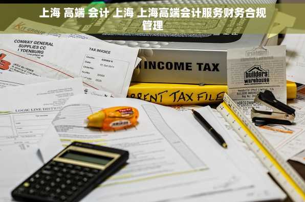 上海 高端 会计 上海 上海高端会计服务财务合规管理