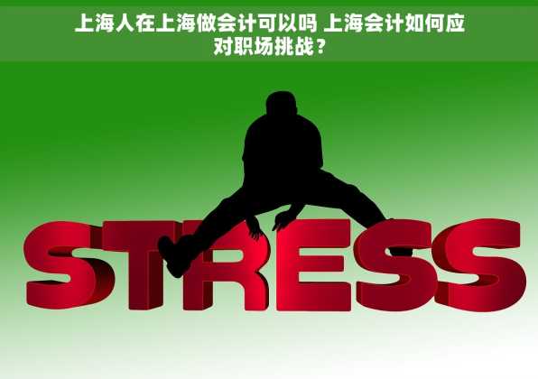 上海人在上海做会计可以吗 上海会计如何应对职场挑战？