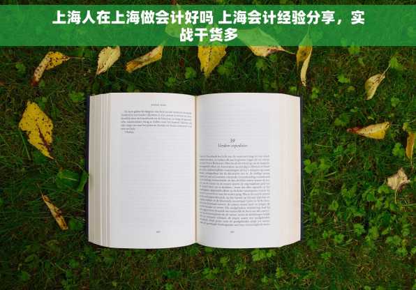 上海人在上海做会计好吗 上海会计经验分享，实战干货多