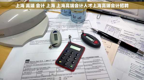 上海 高端 会计 上海 上海高端会计人才上海高端会计招聘
