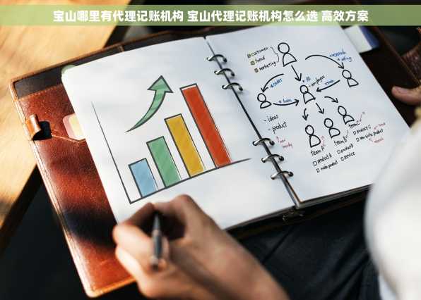 宝山哪里有代理记账机构 宝山代理记账机构怎么选 高效方案