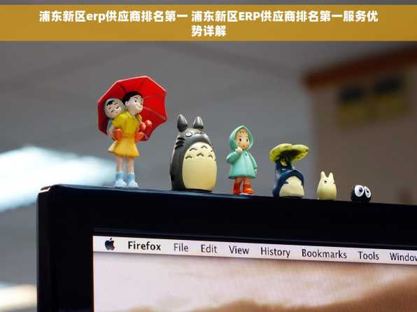 浦东新区erp供应商排名第一 浦东新区ERP供应商排名第一服务优势详解