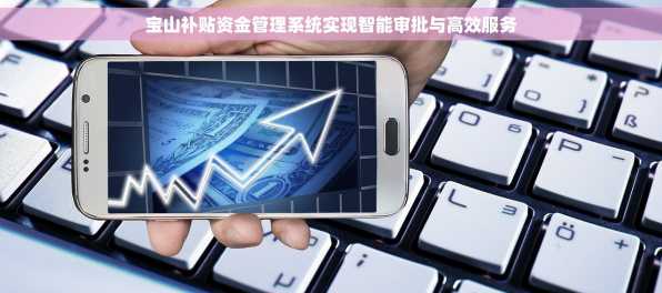 宝山补贴资金管理系统实现智能审批与高效服务