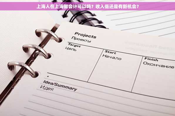 上海人在上海做会计可以吗？收入低还是有新机会？