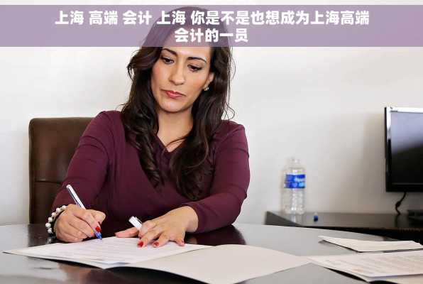上海 高端 会计 上海 你是不是也想成为上海高端会计的一员
