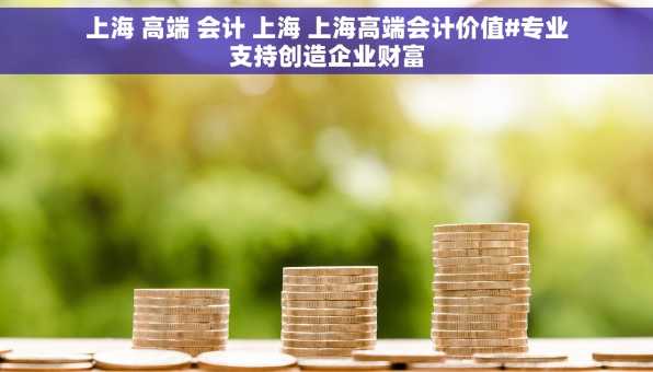 上海 高端 会计 上海 上海高端会计价值#专业支持创造企业财富