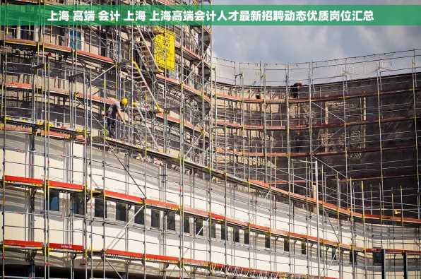 上海 高端 会计 上海 上海高端会计人才最新招聘动态优质岗位汇总