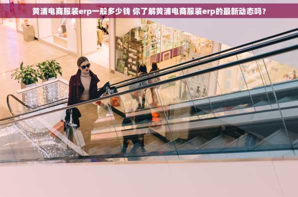 黄浦电商服装erp一般多少钱 你了解黄浦电商服装erp的最新动态吗？