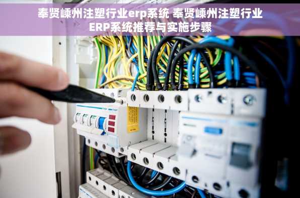 奉贤嵊州注塑行业erp系统 奉贤嵊州注塑行业ERP系统推荐与实施步骤