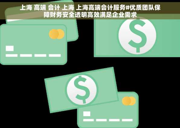 上海 高端 会计 上海 上海高端会计服务#优质团队保障财务安全透明高效满足企业需求