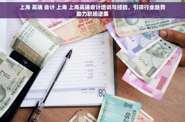 上海 高端 会计 上海 上海高端会计培训与经验，引领行业趋势助力职场逆袭