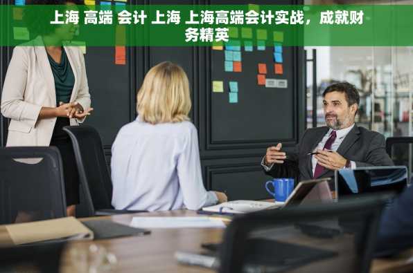 上海 高端 会计 上海 上海高端会计实战，成就财务精英