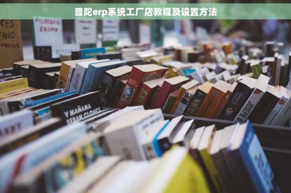 普陀erp系统工厂店教程及设置方法
