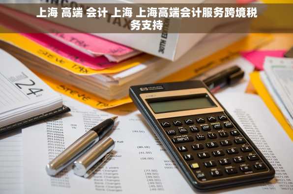 上海 高端 会计 上海 上海高端会计服务跨境税务支持