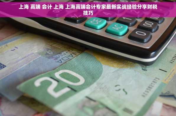 上海 高端 会计 上海 上海高端会计专家最新实战经验分享财税技巧