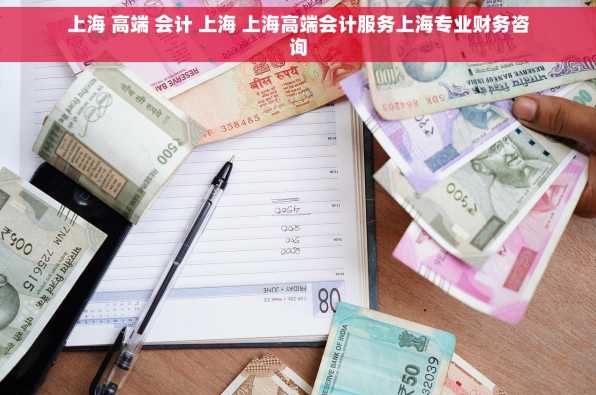 上海 高端 会计 上海 上海高端会计服务上海专业财务咨询