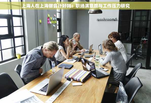 上海人在上海做会计好吗：职场满意度与工作压力研究