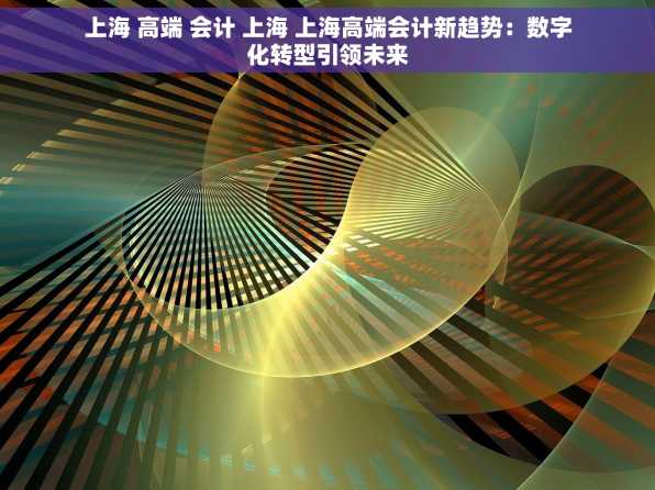 上海 高端 会计 上海 上海高端会计新趋势：数字化转型引领未来