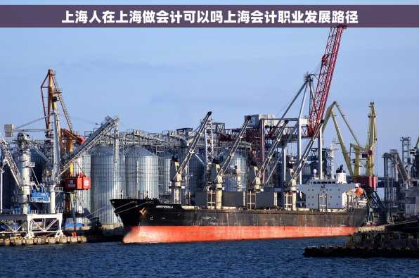 上海人在上海做会计可以吗上海会计职业发展路径