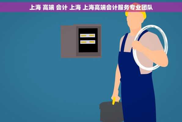 上海 高端 会计 上海 上海高端会计服务专业团队