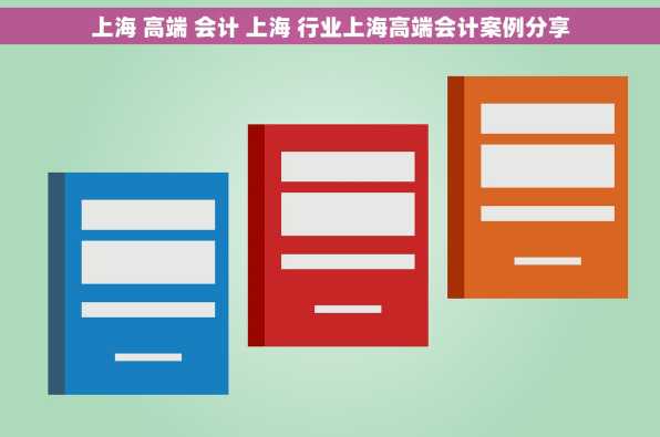 上海 高端 会计 上海 行业上海高端会计案例分享